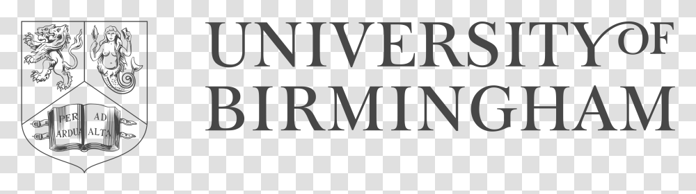 University Of Birmingham, Alphabet, Word, Label Transparent Png