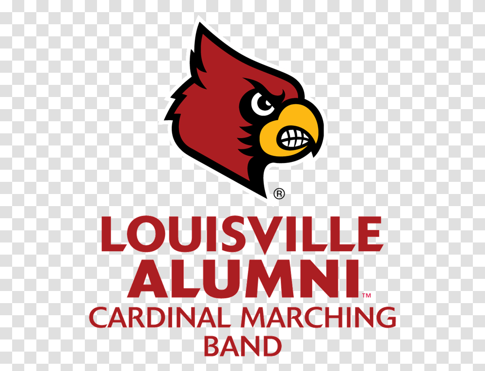 University Of Louisville, Advertisement, Poster, Angry Birds Transparent Png