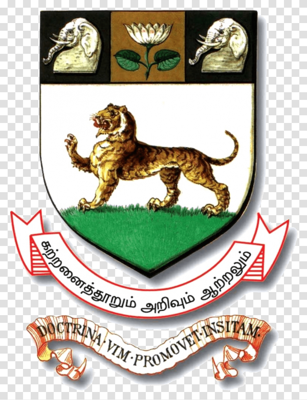 University Of Madras University Of Madras Logo, Symbol, Trademark, Wildlife, Animal Transparent Png