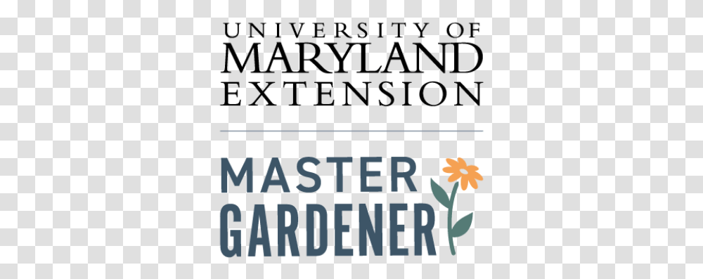 University Of Maryland, Outdoors, Nature, Poster Transparent Png