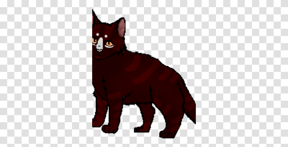 Unknown Dark Tabby She Animal Figure, Person, Human, Cat, Pet Transparent Png