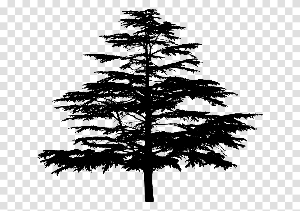 Unknown Tree Silhouette White Pine, Gray, World Of Warcraft Transparent Png