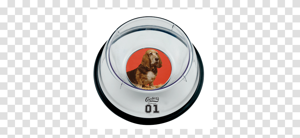Unnamed 53 Circle, Dog, Pet, Canine, Animal Transparent Png