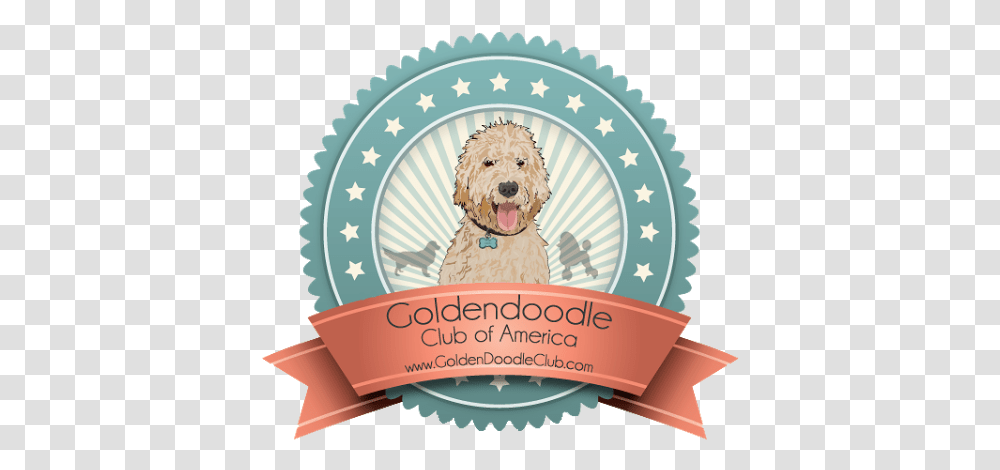 Unnamed Fucktard Of The Year Award, Dog, Pet, Canine, Animal Transparent Png