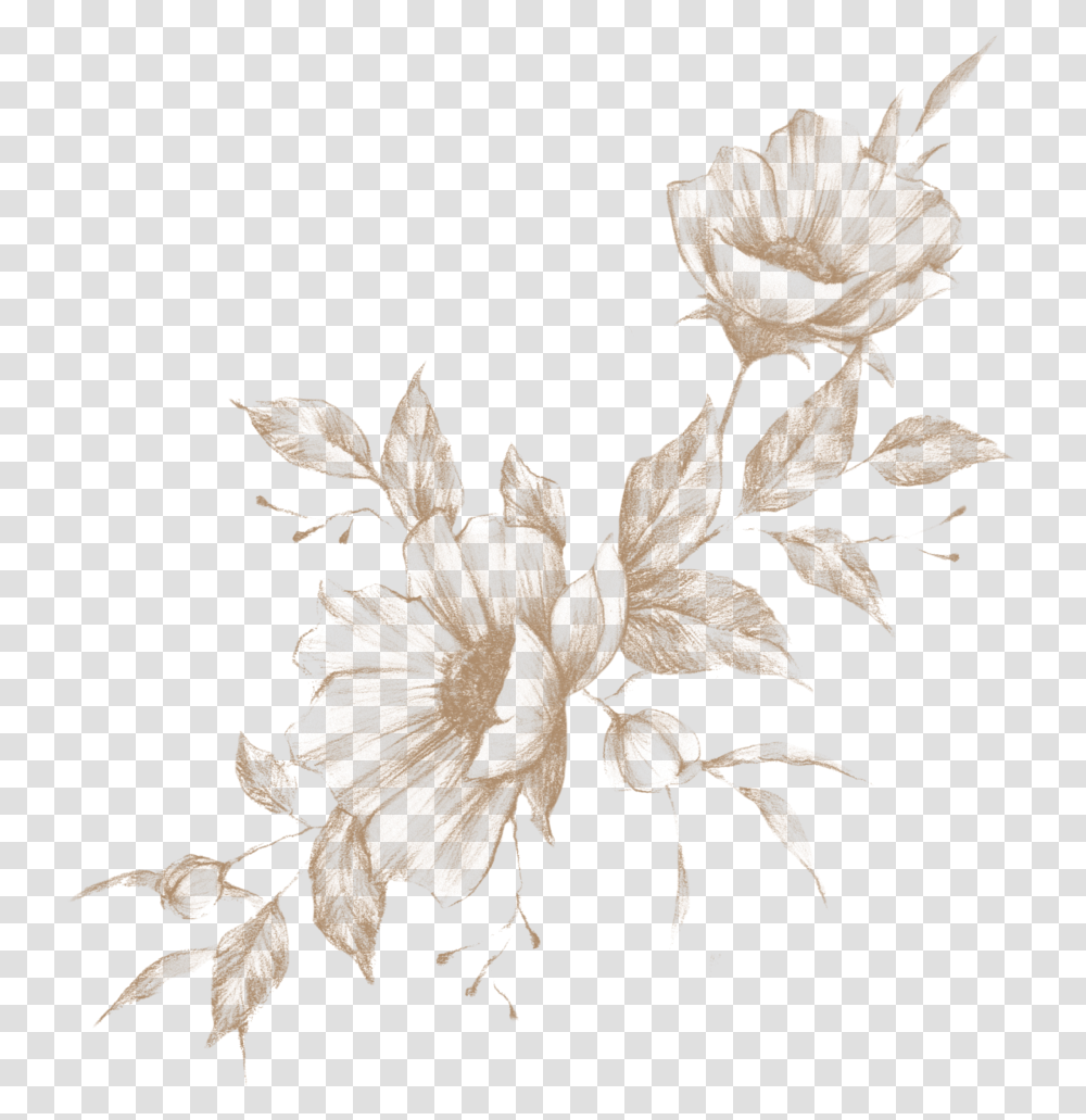 Untitled 1 Crenate Orchid Cactus, Floral Design, Pattern Transparent Png