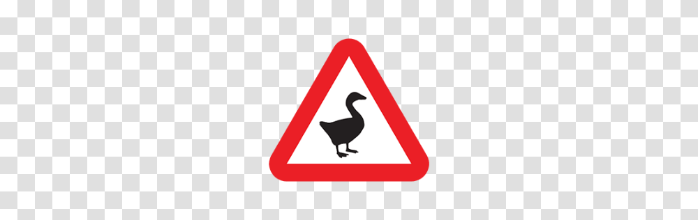 Untitled Goose Game, Bird, Animal, Sign Transparent Png