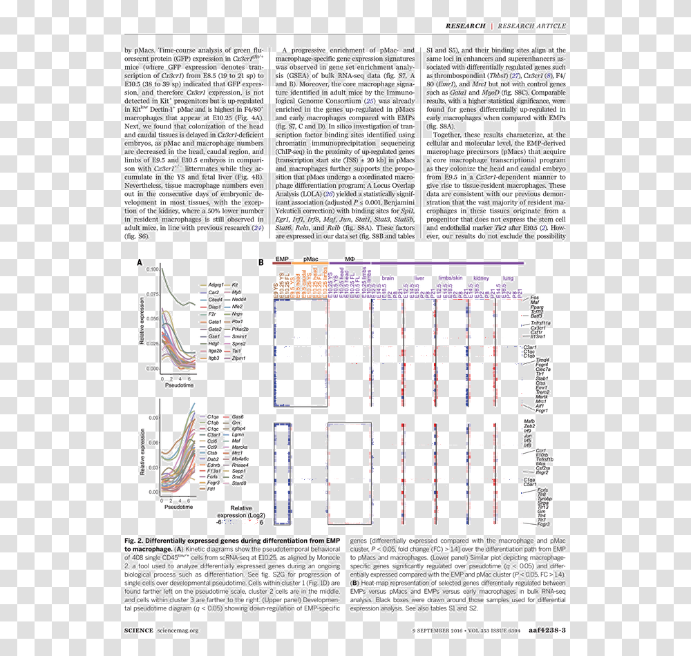 Untitled Tailpiece Pg. 99 In The Book Dingo By Octave, Plan, Plot, Diagram Transparent Png