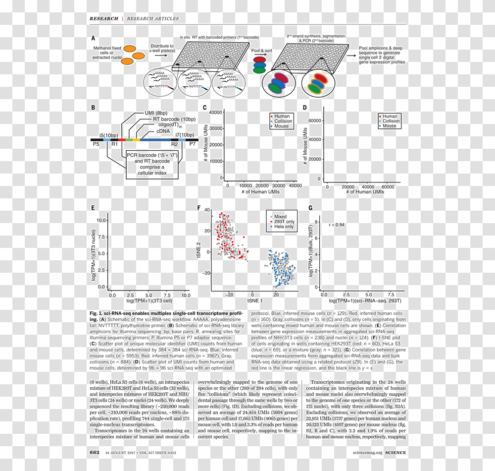 Untitled Tailpiece Pg Combinatorial Indexing Rna Seq, Flyer, Poster, Paper Transparent Png