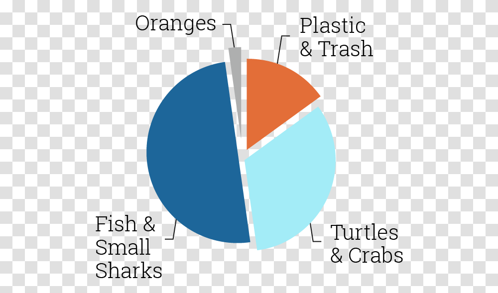 Updated Graph Tiger Sharks Eating Trash, Logo, Trademark, Ornament Transparent Png