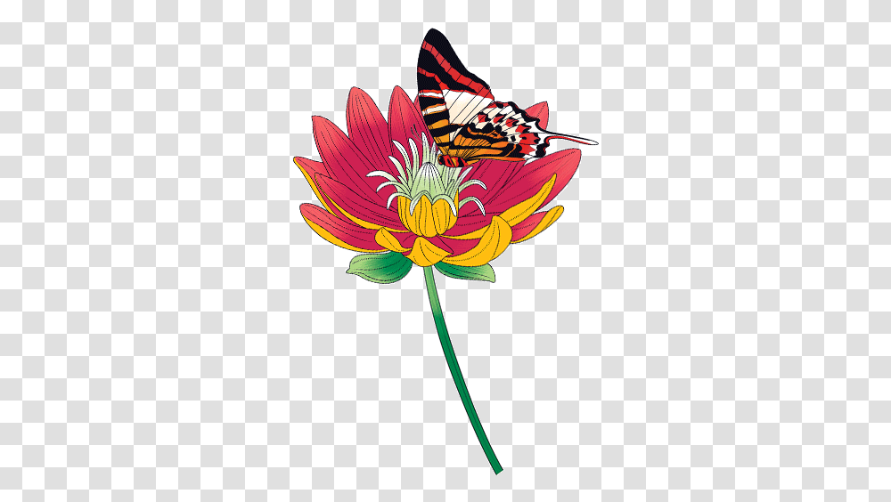 Upload Stars 629 Butterfly Flying From Flower Butterfly In Flower Gif, Plant, Dahlia, Animal, Invertebrate Transparent Png
