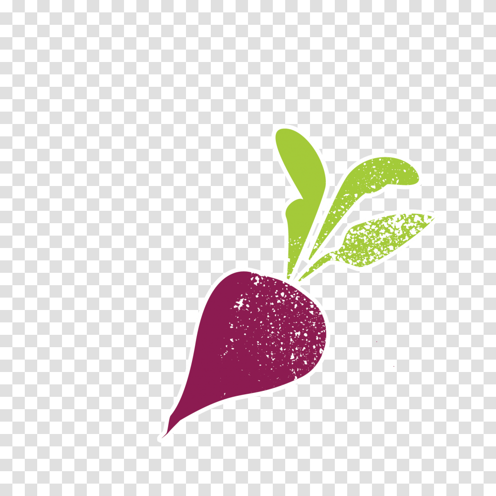 Urban Roots Partners, Plant, Radish, Vegetable, Food Transparent Png
