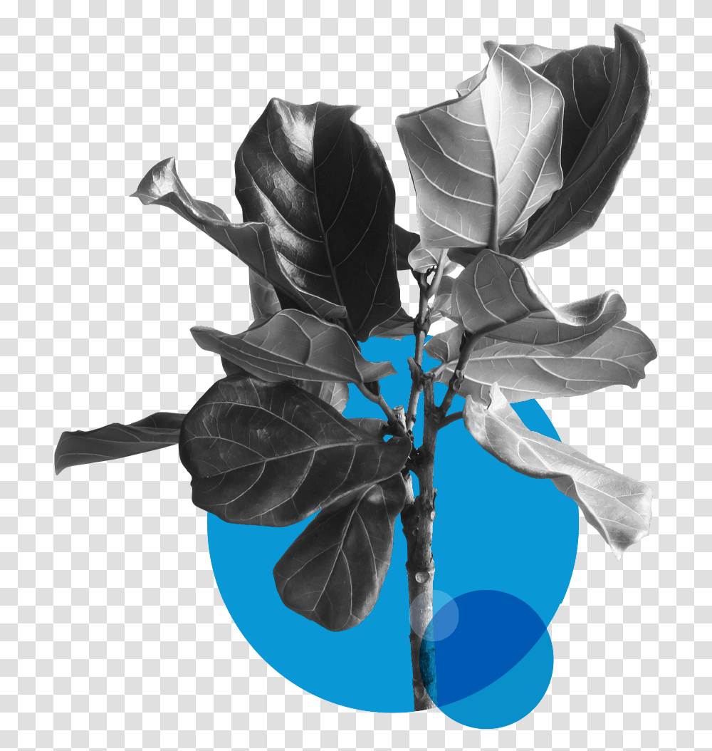 Urban Systems And The Circular Economy Plant, Leaf, Veins, Flower, Seed Transparent Png