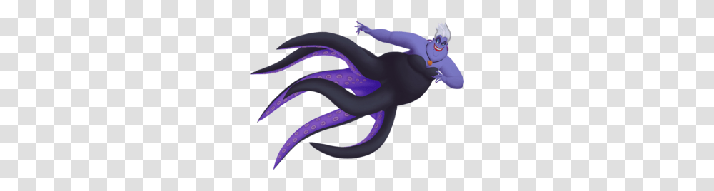 Ursula, Animal, Sea Life, Invertebrate, Octopus Transparent Png