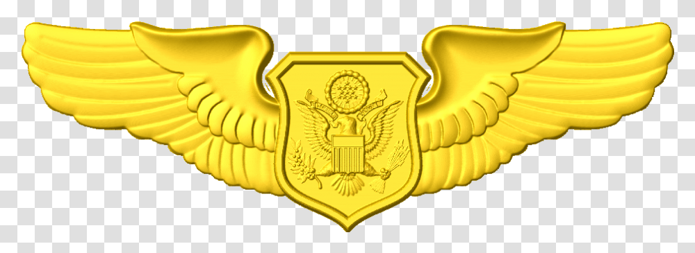 Us Air Force Drone Pilot Wings, Logo, Trademark, Badge Transparent Png