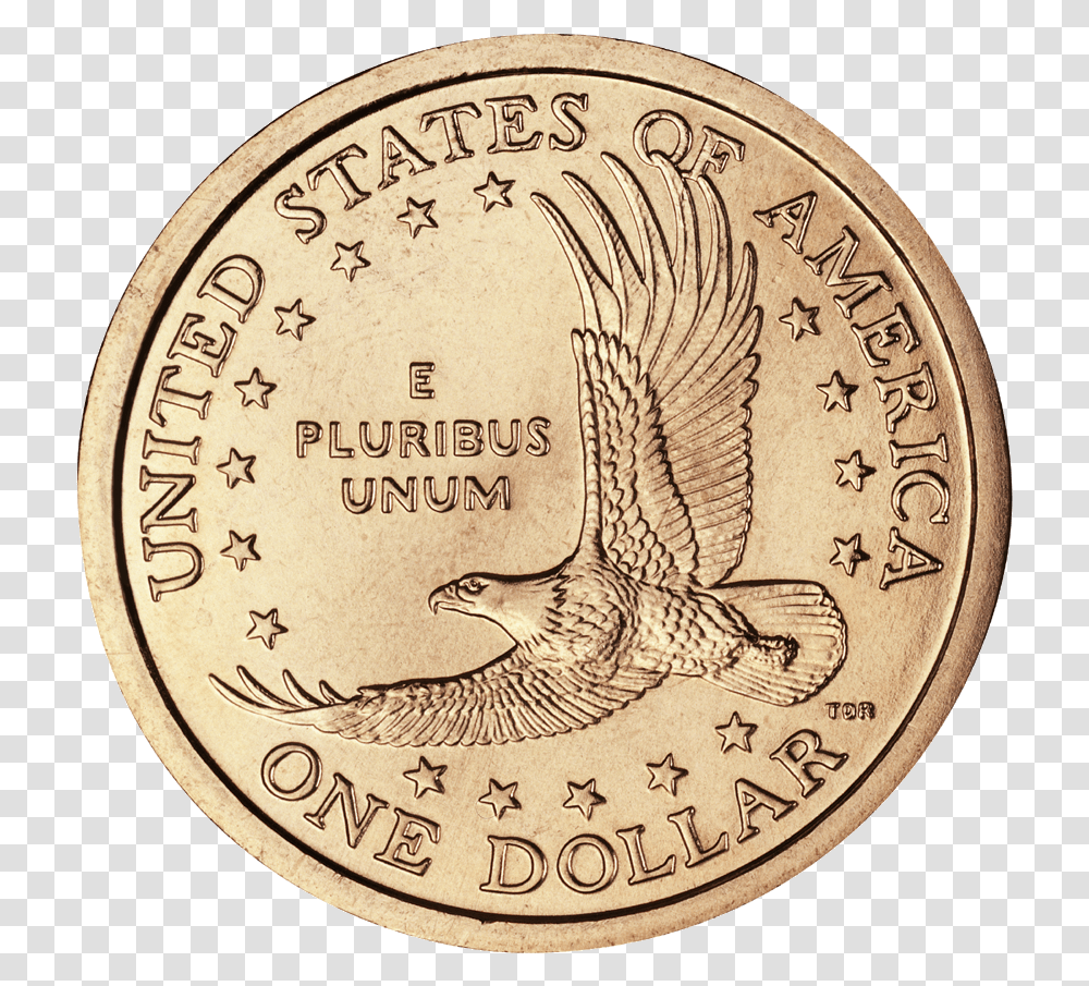 Us Dollar Coin, Money, Rug, Snake, Reptile Transparent Png