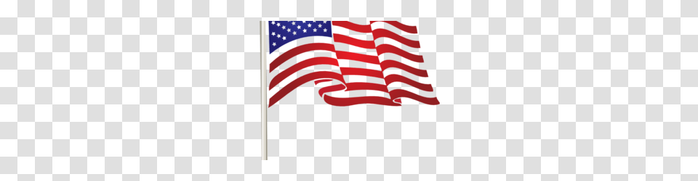 Us Flag Clipart Luxury Us Flag Images For Usa Flag Clip Art, Plant, Tree, Spider Web Transparent Png