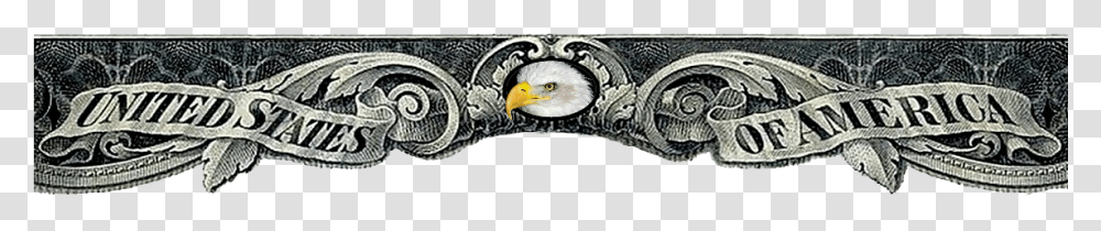 Us Gold Certificate, Beak, Bird, Animal, Eagle Transparent Png