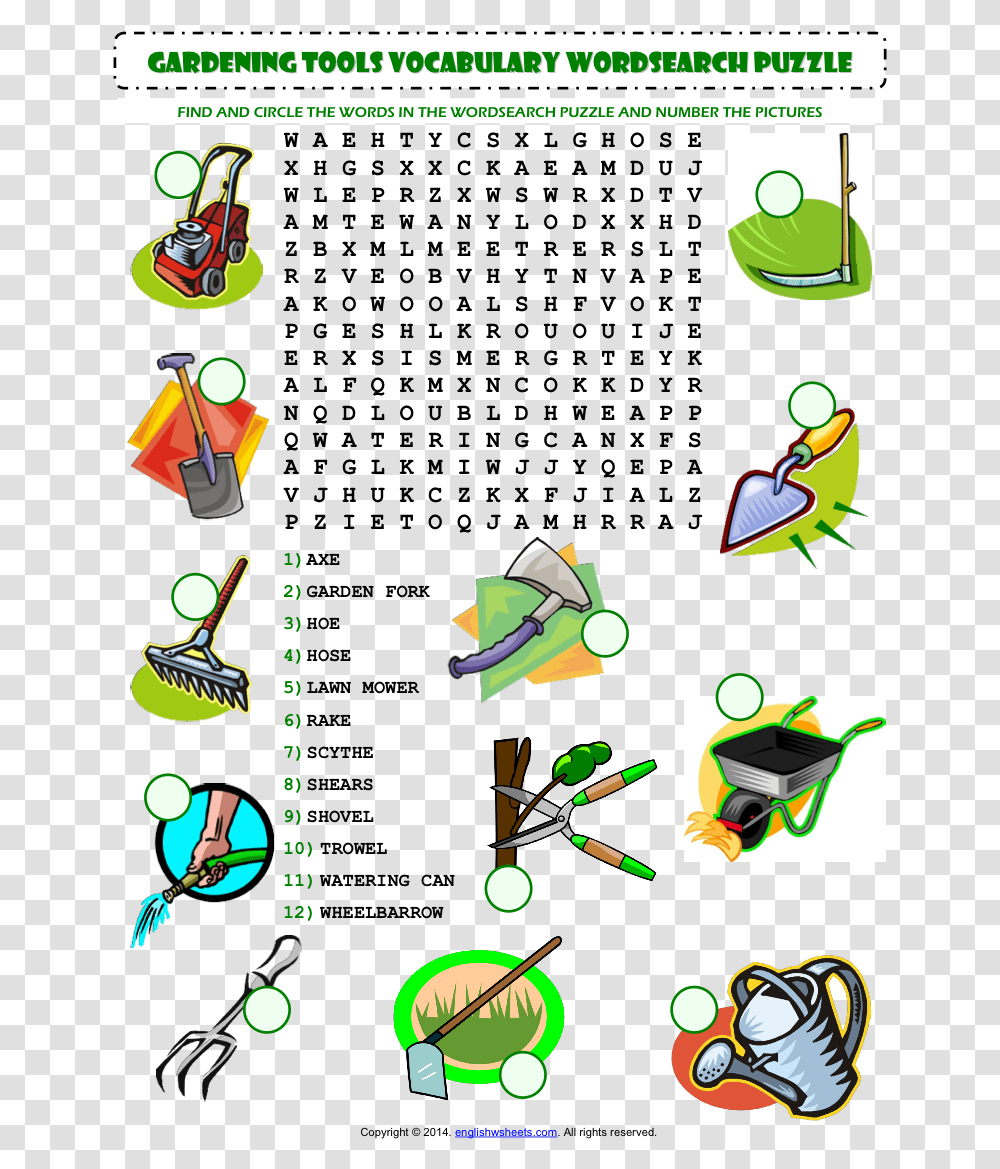Us President Word Search Answer Key, Bird, Sport Transparent Png