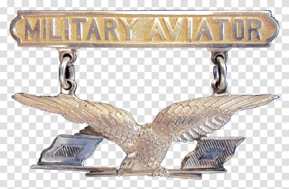 Usa Aviator Wings 1913 Aviation Section Of The Signal Corps, Dinosaur, Reptile, Animal, Chain Transparent Png