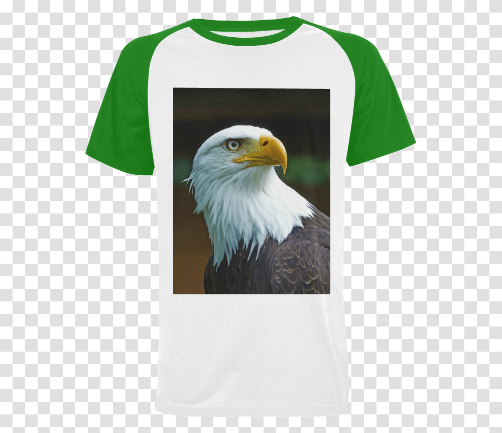 Usa Eagle American Bald Eagle Head, Bird, Animal, Shirt Transparent Png