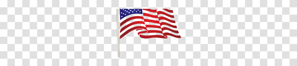 Usa Flag Clipart American Flag Clip Art Pg Clipart For Teachers, Plant, Tree, Flower, Blossom Transparent Png