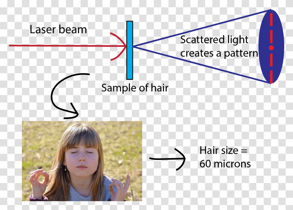 Use A Laser Pointer To Measure The Thickness Of Your Hair Measure Thickness Of Hair, Person, Outdoors, Finger, Girl Transparent Png