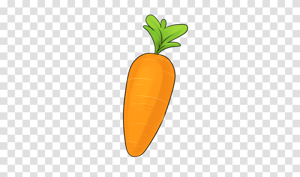 Use This Clip Art On Your Book, Plant, Carrot, Vegetable, Food Transparent Png
