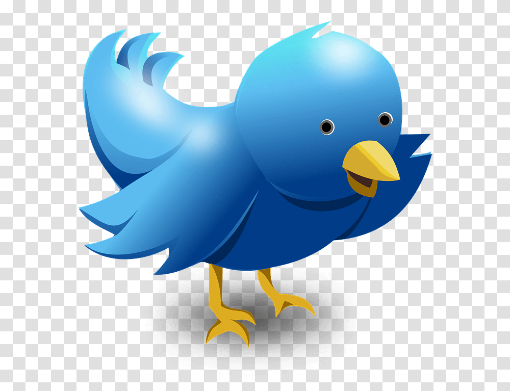 Use Twitter To Get More Tourists Cartoon Twitter Bird, Animal, Canary, Bluebird Transparent Png