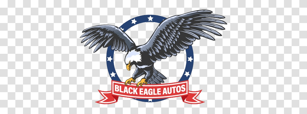 Used Cars Arlington Tx & Trucks Black Eagle Logo Eagle, Bird, Animal, Dinosaur, Reptile Transparent Png