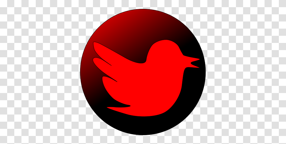 User Account Red Twitter Icon, Animal, Bird, Cardinal, Maroon Transparent Png