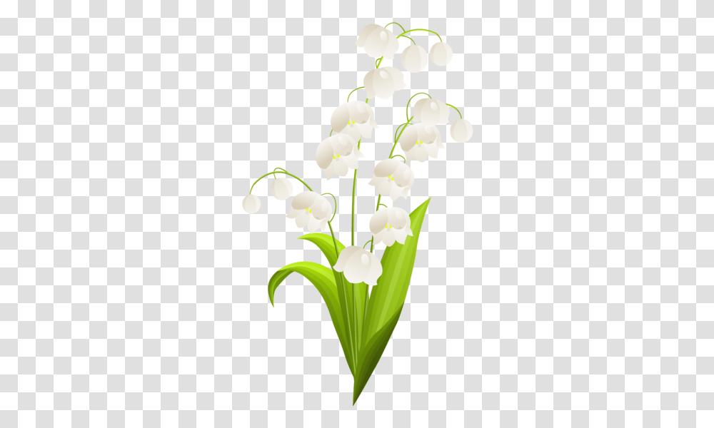 User Blogmagical Sea Corgitribe Of The Valley Lily Lily Of The Valley Watercolor, Plant, Flower, Blossom, Orchid Transparent Png