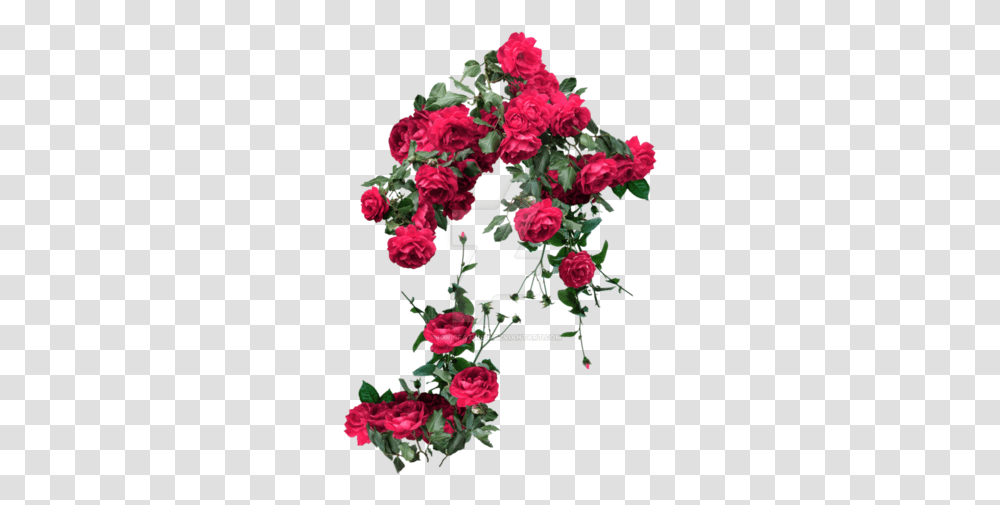 User Blogwolfitingzsandtorrent Animal Groups Roleplay Rose Vines, Plant, Flower, Blossom, Geranium Transparent Png