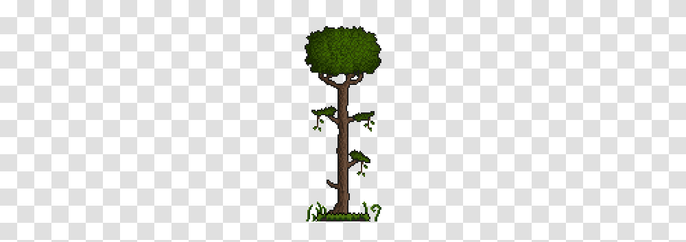 User, Cross, Plant, Tree Transparent Png