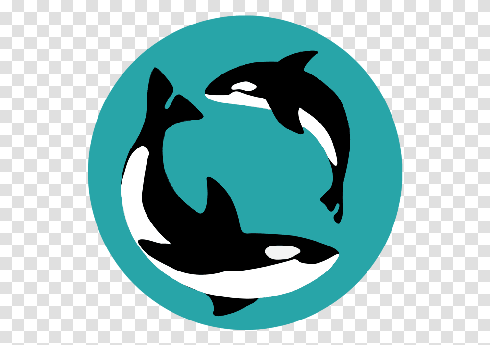 Username Is Out Of Office Killer Whale, Animal, Sea Life, Mammal Transparent Png
