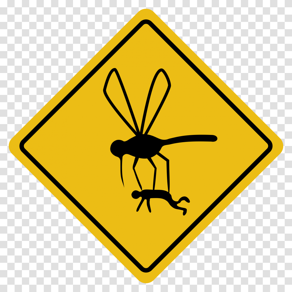 Usf Tayylorkinng, Road Sign, Stopsign, Insect Transparent Png
