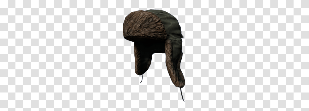 Ushanka, Animal, Person, Jacket Transparent Png