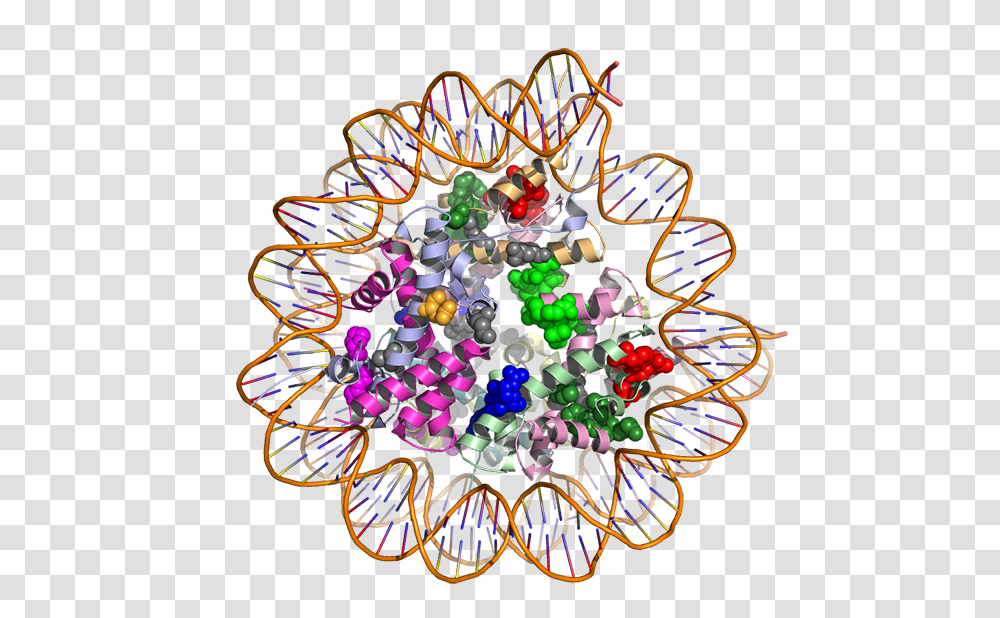 Using D Models Of Proteins To Find Treatments For Cancer, Sphere, Spiral Transparent Png