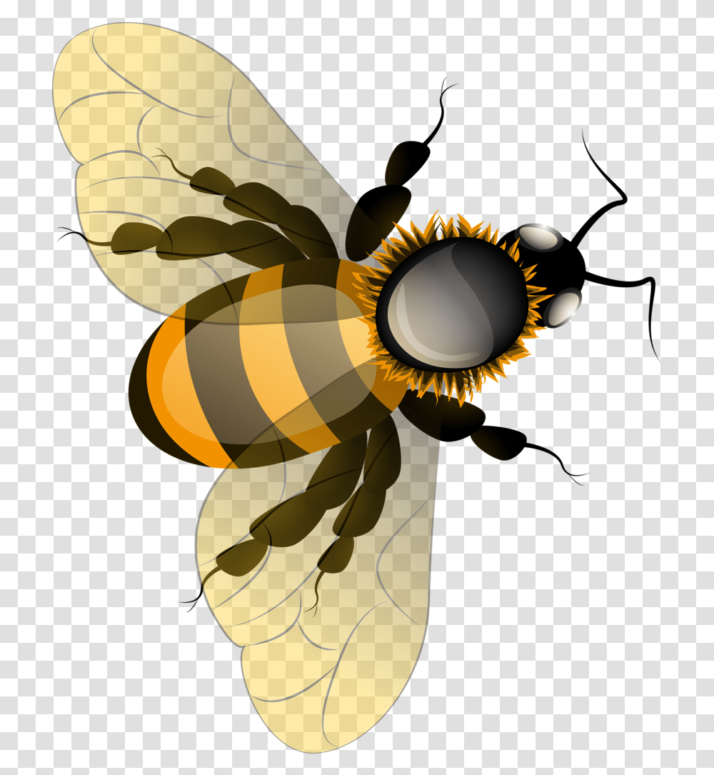 Utah Clipart Honey Bee Nest Honey Bee, Lamp, Invertebrate, Animal, Insect Transparent Png