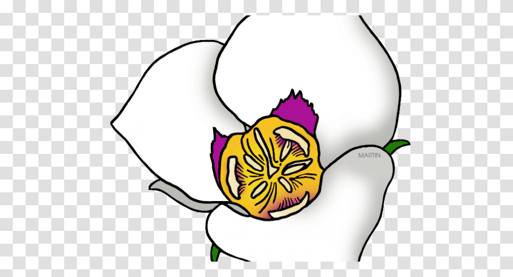Utah Clipart State Utah Free Clip Art Stock Illustrations, Plant, Flower, Blossom, Petal Transparent Png