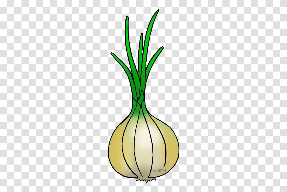 Utah State Vegetable, Plant, Food, Produce, Leek Transparent Png