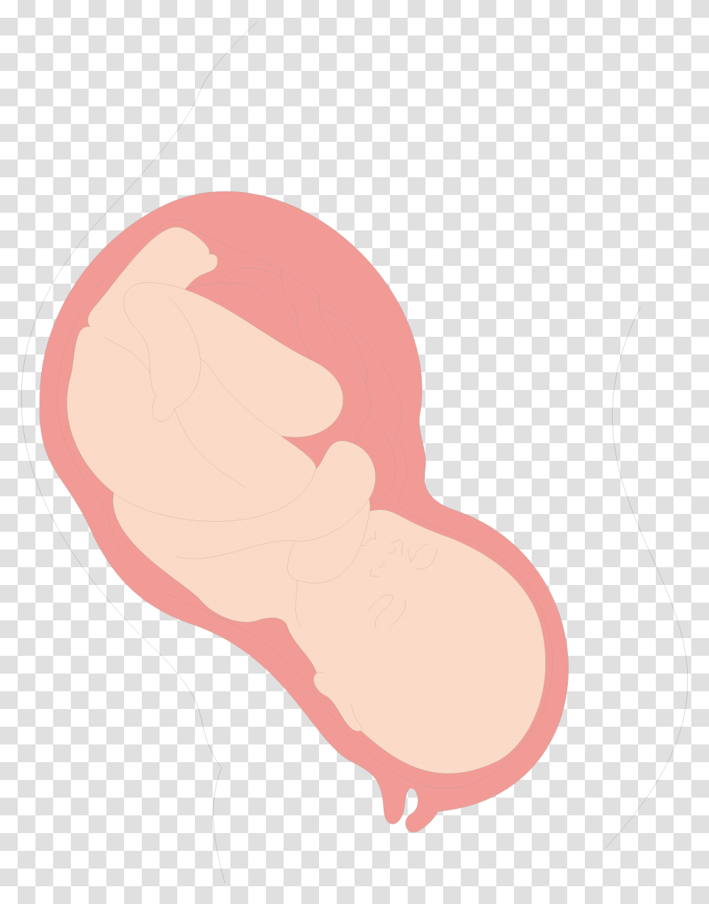 Uterus Clip Art, Hand, Mouth, Ear, Baseball Cap Transparent Png