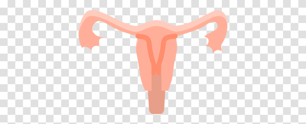 Uterus Icon Of Flat Style Uterus, Bull, Mammal, Animal, Cattle Transparent Png