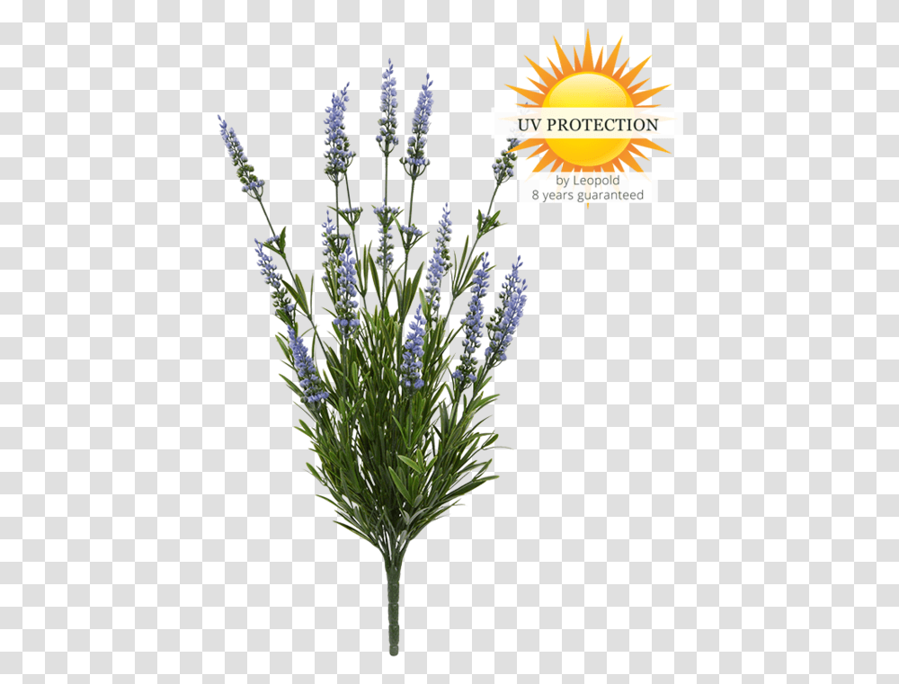 Uv Protect Artificial Lavender Bush 50 Cm Blue Outdoors Lavender, Plant, Flower, Vase, Jar Transparent Png