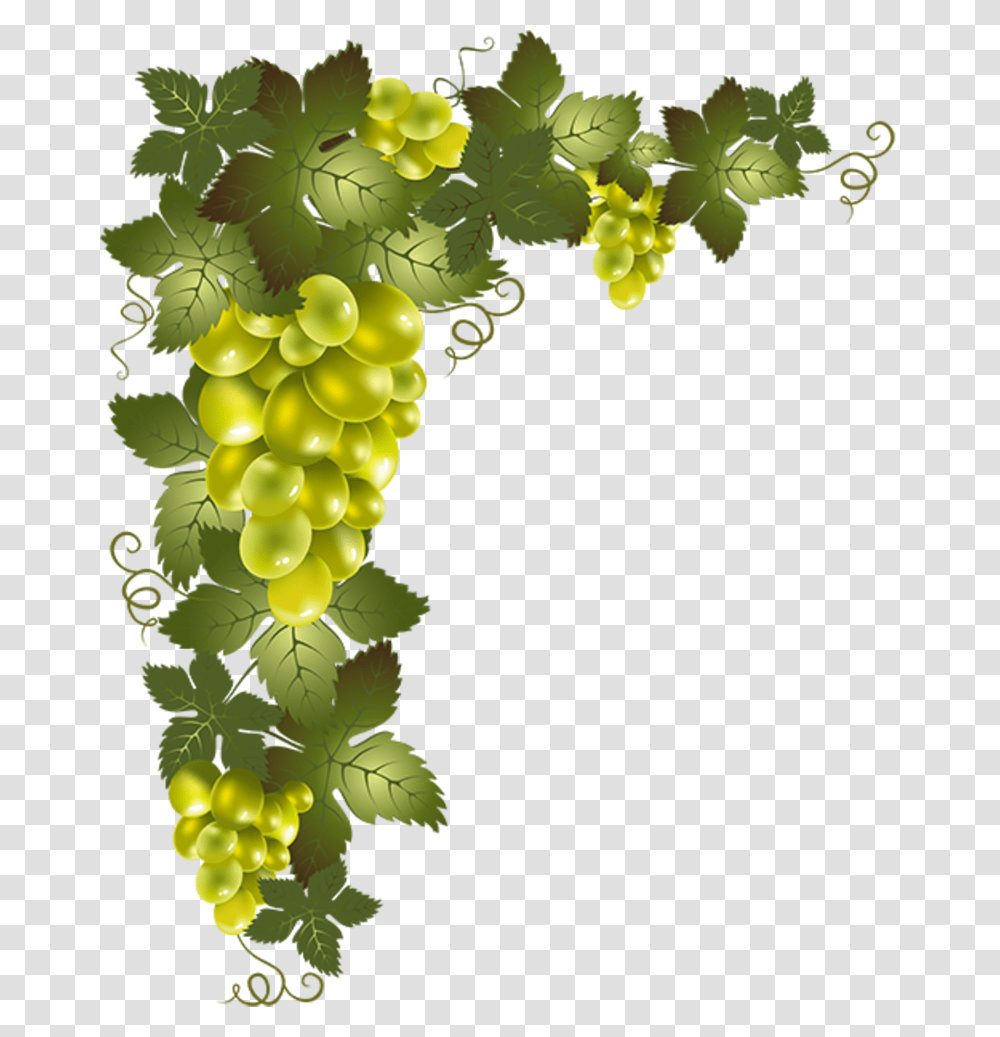 Uvas Grape Vine, Grapes, Fruit, Plant, Food Transparent Png