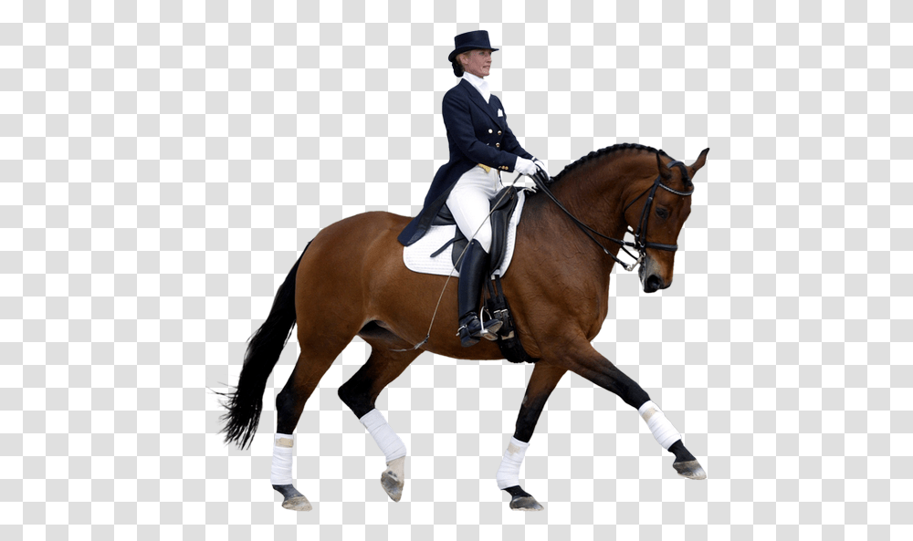 V 0 8 346 7 Kbytes Horse Riding Mob Hd Horse Dressage, Mammal, Animal, Person, Human Transparent Png