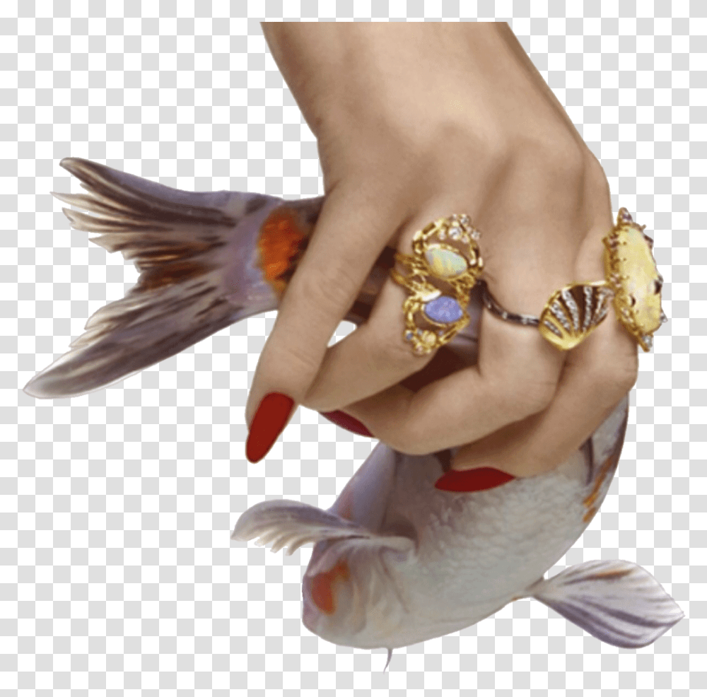 V Aesthetic Mood, Person, Human, Finger, Fish Transparent Png
