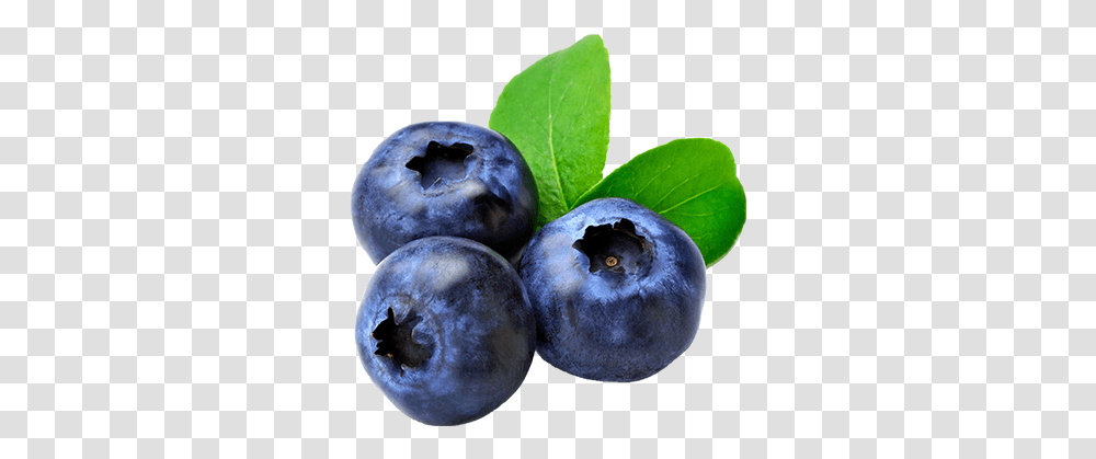 V Blueberry, Fruit, Plant, Food Transparent Png