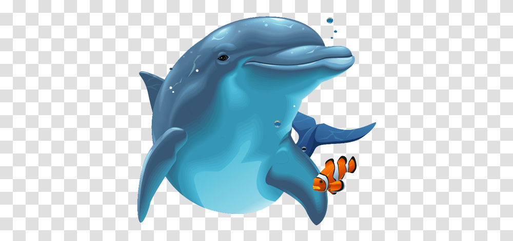 V Dolphin, Sea Life, Animal, Mammal, Helmet Transparent Png