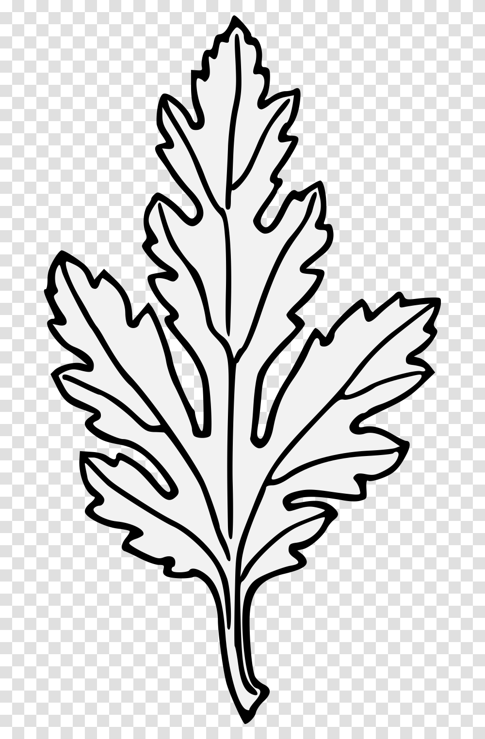 V L Hoa Cc, Leaf, Plant, Tree, Maple Transparent Png