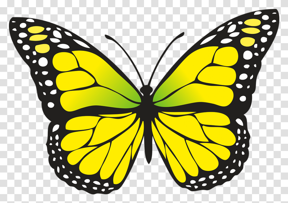 V Mariposa, Insect, Invertebrate, Animal, Butterfly Transparent Png
